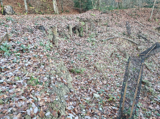 Bild 1 zu «Sperrung Fussweg zum Schützenhaus im "Rüütihau"»